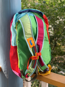 Cotopaxi | Luzon 24L Backpack (Del Dia Colorway)