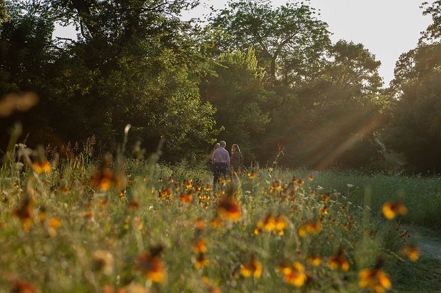 AJV Environment Highlight : Restored Texas Ecosystems