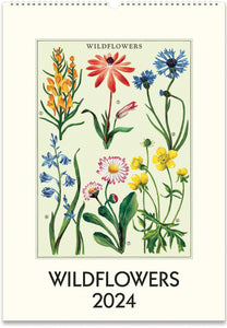Cavallini Papers & Co. | Wildflowers Vintage 2024 Calendar
