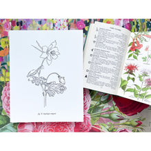 Load image into Gallery viewer, Blackbird Letterpress | Botanical Prints