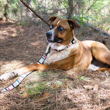 Load image into Gallery viewer, Pendleton | Hiker 6ft Leash