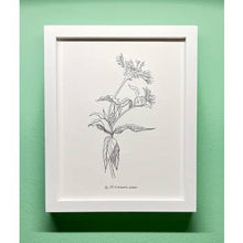 Load image into Gallery viewer, Blackbird Letterpress | Botanical Prints