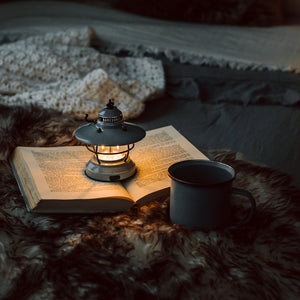 Barebones | Edison Mini Lantern