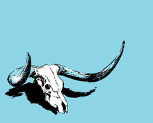 Load image into Gallery viewer, Wildsam Field Guides | Austin
