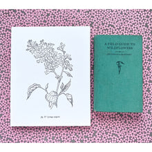 Load image into Gallery viewer, Blackbird Letterpress | Botanical Prints