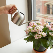 Load image into Gallery viewer, Kikkerland | Stainless watering can