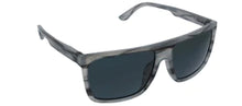 Load image into Gallery viewer, Peepers | Surf Check Sun (Gray Horn) Sunglasses