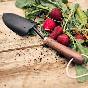Barebones | Garden Trowel