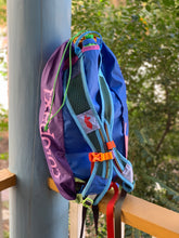 Load image into Gallery viewer, Cotopaxi | Luzon 18L Backpack (Del Dia Colorway)