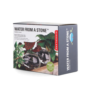 Kikkerland | Water Rocks