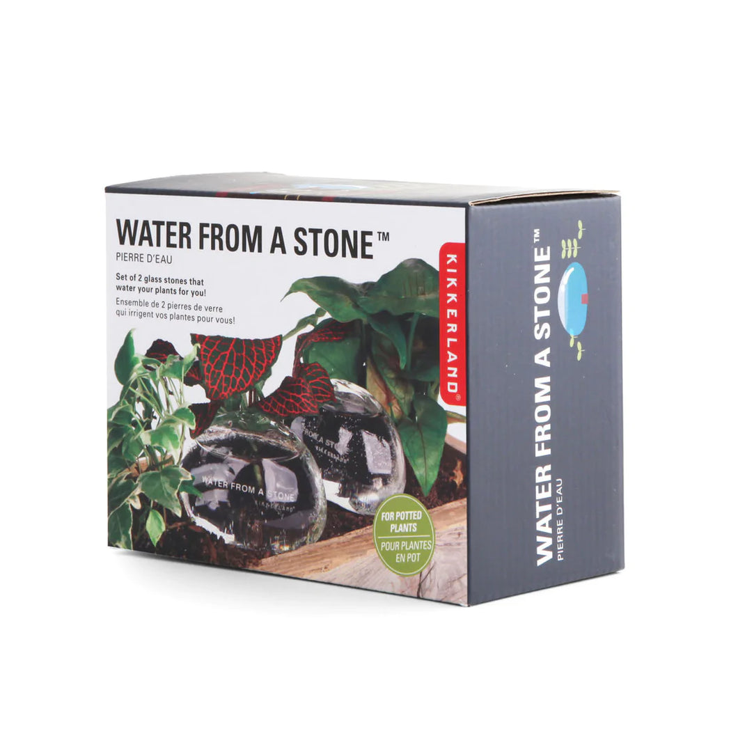 Kikkerland | Water Rocks
