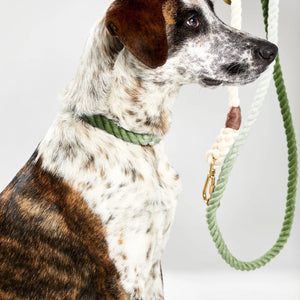 Found My Animal | Olive Ombre Rope Dog Leash