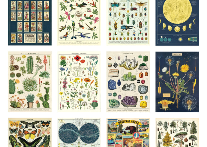 Cavallini Papers & Co. | Posters