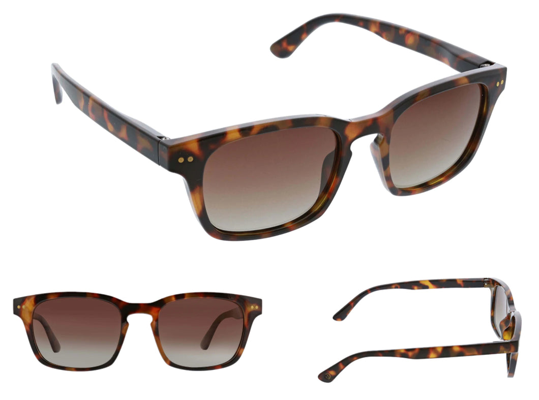 Peepers | High Tide Sun (Tortoise) Sunglasses